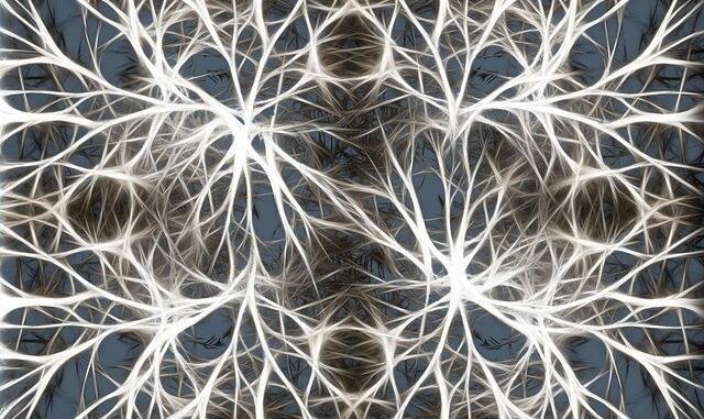 neurons-582054_640