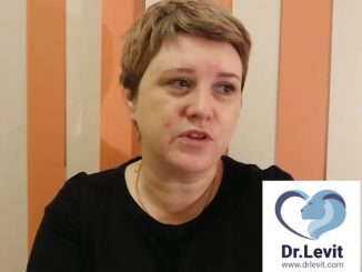 клиника Левит Израиль