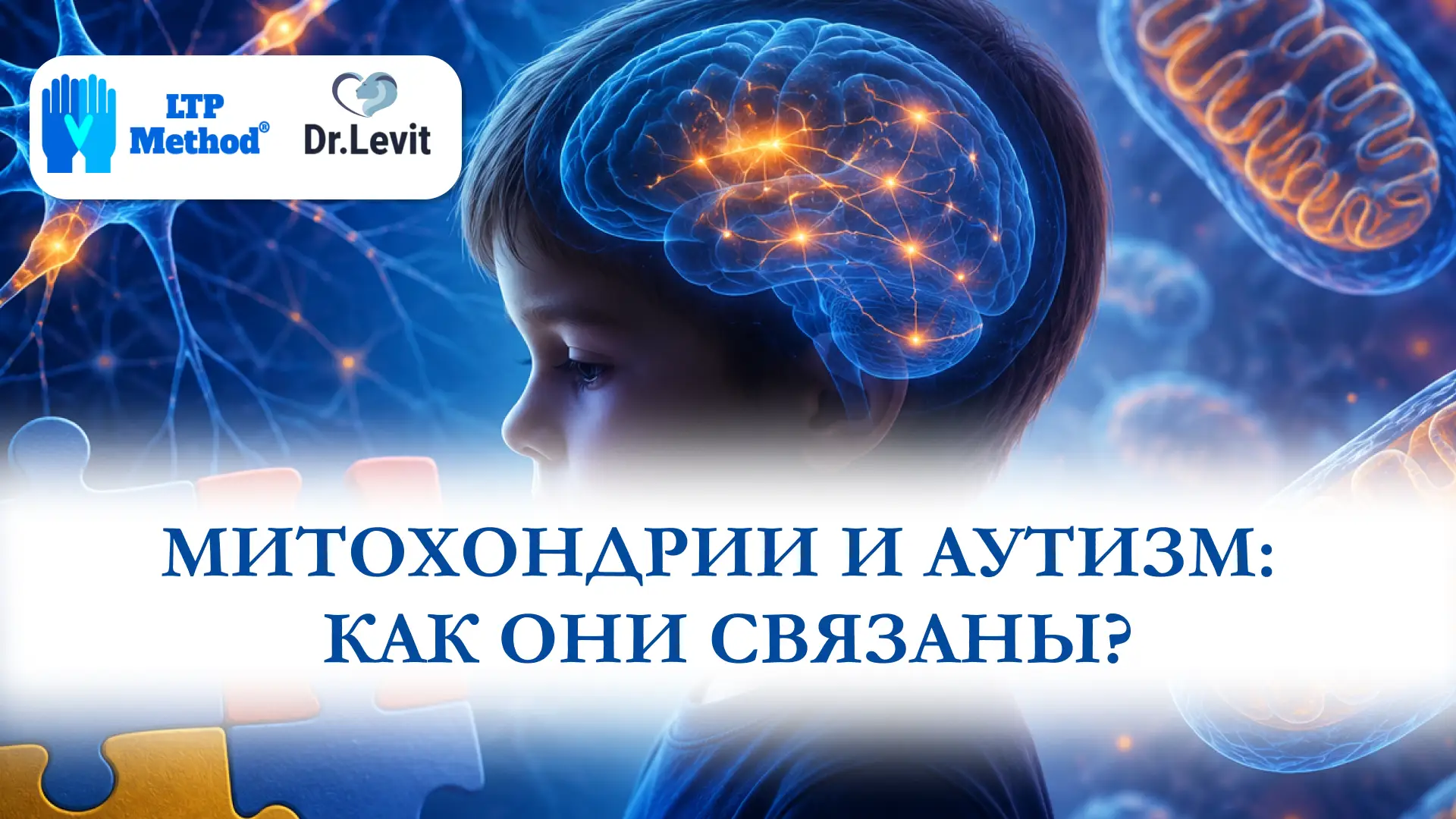 митохондрии и аутизм